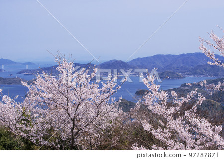 筆影山的櫻花 瀨戶內海國立公園 富士山的風景 筆影山的櫻花 瀨戶內海國立公園 富士山的風景 97287871