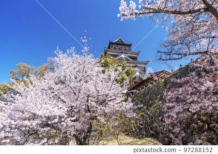 廣島城和櫻花 廣島春景 廣島旅遊景點 2023 G7 峰會 97288152