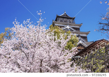 廣島城和櫻花 廣島春景 廣島旅遊景點 2023 G7 峰會 97288245