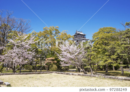 廣島城和櫻花 廣島春景 廣島旅遊景點 2023 G7 峰會 97288249