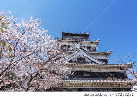 廣島城和櫻花 廣島春景 廣島旅遊景點 2023 G7 峰會 97288251