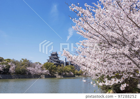 Hiroshima Castle and cherry blossoms Spring scenery in Hiroshima Hiroshima tourist attractions 2023 G7 Summit Hiroshima Castle and cherry blossoms Spring scenery in Hiroshima Hiroshima tourist attractions 2023 G7 Summit 97288252