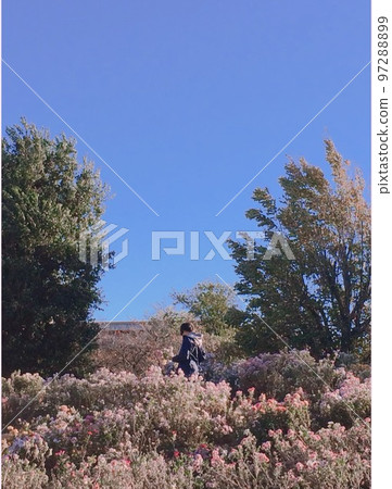 兒子摘花 兒子摘花 97288899
