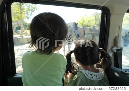Safari park Safari park 97288923