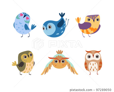 Cute Little Owl with Colorful Plumage as Woodland Nocturnal Bird Vector Set 97289050