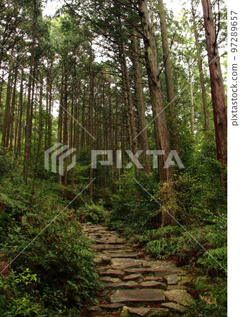 Stone-paved road in the mountains Kumano Kodo 97289657