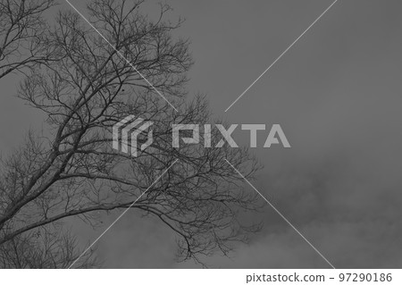 負面形象和樹枝 97290186