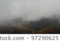 Aerial footage of the sea of clouds and autumn leaves Aerial footage of the sea of clouds and autumn leaves 97290625