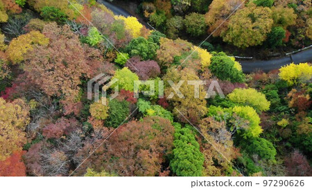 Scenic spot for autumn foliage Scenic spot for autumn foliage 97290626