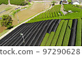 Aerial footage of tencha production Aerial footage of tencha production 97290628