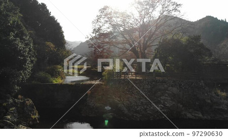 Contrast of sunset and autumn leaves Contrast of sunset and autumn leaves 97290630