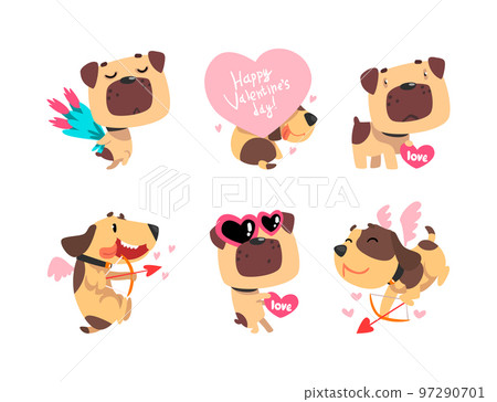 Funny Pug and Jack Russell Terrier Dog with Valentine Heart, Bow with Arrow and Flower Bouquet Vector Set 97290701