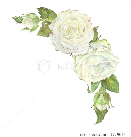 Semicircular composition of white roses and buds with leaves. Watercolor illustration. Isolated on a white background. For design of dishes, greeting card, perfumes packaging, wedding invitation 97290761