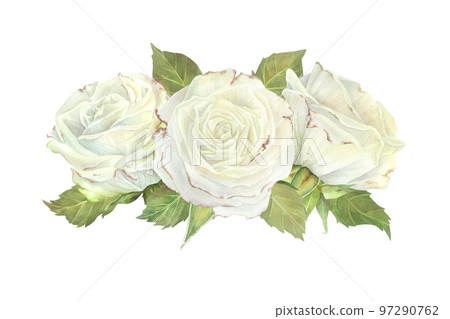 Horizontal composition of three white roses. Watercolor illustration. Isolated on a white background.For design of sticker, dishes, greeting card, stationery, cosmetics packaging, wedding invitation 97290762