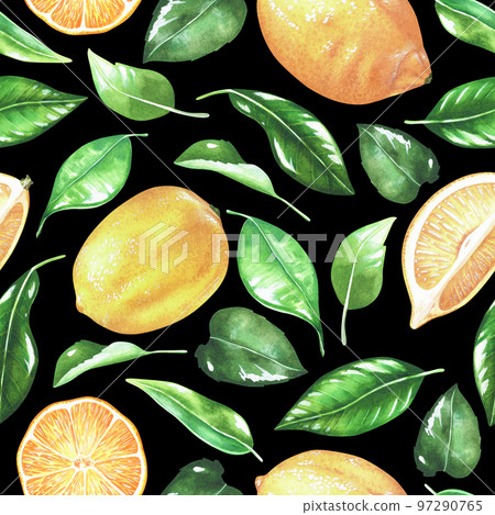 Seamless pattern with lemons and leaves. Whole fruit and cut. Watercolor illustration. Isolated on a black background. For design kitchen accessories, product packaging with citrus acid or scent Seamless pattern with lemons and leaves. Whole fruit and cut. Watercolor illustration. Isolated on a black background. For design kitchen accessories, product packaging with citrus acid or scent 97290765