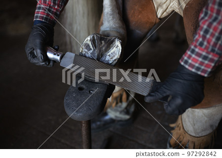 male hands blacksmith in black gloves file cleans on iron horseshoe on horse's hoof close up male hands blacksmith in black gloves file cleans on iron horseshoe on horse's hoof close up 97292842