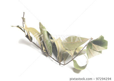 Dry bay leaves isolated on white. Dried laurel leaf seasoning 97294294