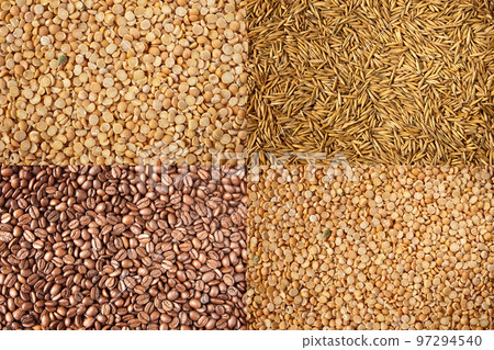 seeds collection 97294540