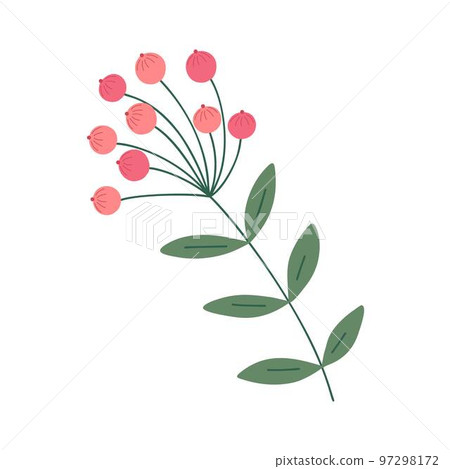 Christmas plant green tree branch and dark pink berries for home decor, festive holiday ornament, vector illustration for seasonal gift paper, poster, clipart Christmas plant green tree branch and dark pink berries for home decor, festive holiday ornament, vector illustration for seasonal gift paper, poster, clipart 97298172