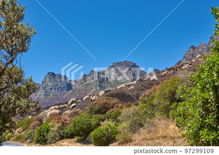 Twelve Apostles at Table Mountain in Cape Town against a blue sky background with copy space. Beautiful view of plants and shrubs growing around a majestic rocky valley and scenic landmark in nature Twelve Apostles at Table Mountain in Cape Town against a blue sky background with copy space. Beautiful view of plants and shrubs growing around a majestic rocky valley and scenic landmark in nature 97299109