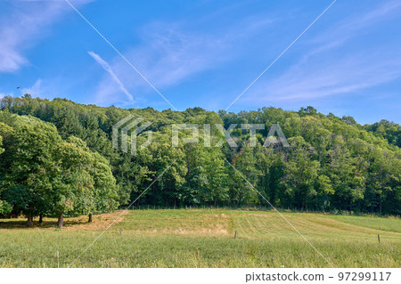 Fresh outdoor field of land and trees in summer. Big blue sky clean cut grass with fields and forest. Natural view of open green landscape in the outdoors of nature on a sunny day. Fresh outdoor field of land and trees in summer. Big blue sky clean cut grass with fields and forest. Natural view of open green landscape in the outdoors of nature on a sunny day. 97299117