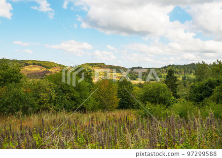 Shot of the outdoors on a summer day 97299588