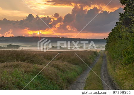 Landscape view of a dirt road road in a countryside leading to a lush green forest and woods in Germany. Travel to remote fields and meadows. Quiet scenery with trees, bushes, shrubs, lawn and grass 97299595