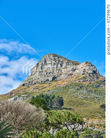Scenic landscape of blue sky over the peak of Table Mountain in Cape Town on a sunny day from below. Beautiful views of plants and trees around a popular tourist attraction and natural landmark 97299670