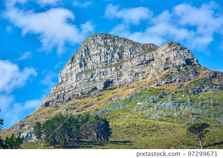 Landscape of a mountain on cloudy blue sky with copy space. Beautiful nature view of Lions Head mountains peak with lush green trees and bushes in a popular hiking location in Cape Town, South Africa 97299671