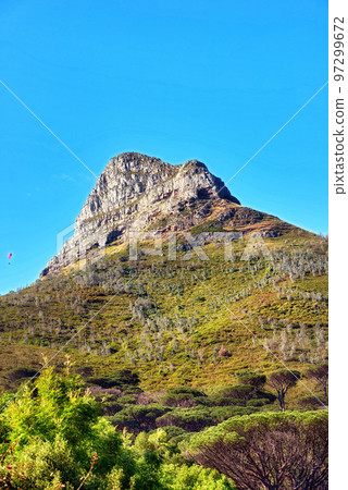Low angle of a mountain peak in South Africa. Scenic landscape of a remote hiking location on Lions Head in Cape Town on a sunny day with copy space. Stunning adventure and travel place to explore 97299672