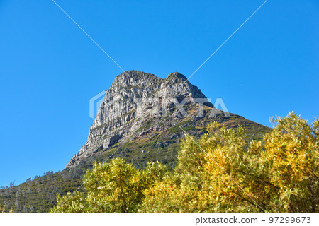 Landscape of mountain on a blue sky with copy space. Rock outcrops on a beautiful sunny day. Lions Head mountains peak with green trees and bushes, a popular landmark in Cape Town, South Africa 97299673