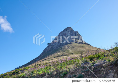 Landscape of a mountain against a clear blue sky with copy space. Mountain peak with lush green pasture and flowers thriving in a natural environment. Popular tourism location in South Africa 97299676