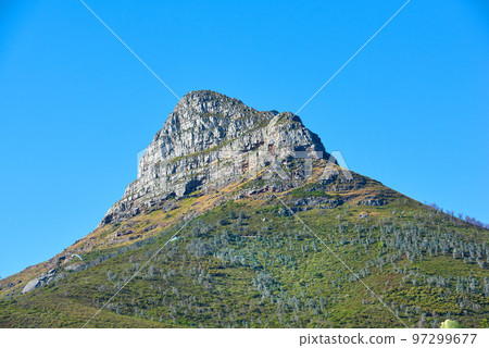 Lions Head mountain with a blue sky and copy space. Beautiful below view of a rocky mountain peak covered in lots of lush green vegetation at a popular tourism destination in Cape Town, South Africa 97299677