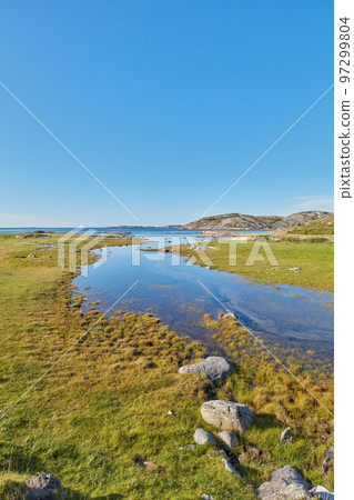 Landscape of river in lush green marsh land against a blue horizon with copy space. Calm swamp by the seaside in summer outside with wild grass growing in Norway. Peaceful and secluded scenic nature 97299804