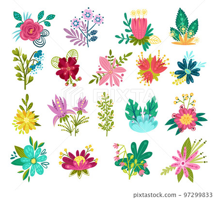 Blooming Flower Composition and Garden Flora Blossom Big Vector Set Blooming Flower Composition and Garden Flora Blossom Big Vector Set 97299833