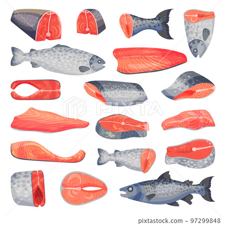 Salmon Fish Food as Raw Seafood and Sea Product Big Vector Set Salmon Fish Food as Raw Seafood and Sea Product Big Vector Set 97299848