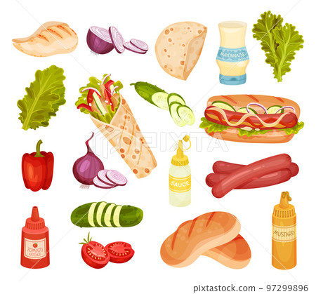 Doner Kebab and Hot Dog Sandwich Ingredients Big Vector Set 97299896