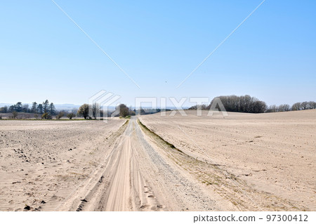 View of trees on a sandy farm with clear blue sky copy space in Autumn. Nature landscape of a dry bush tree branches growing near uncultivated soil or barren land, East Coast of Jutland, Denmark 97300412