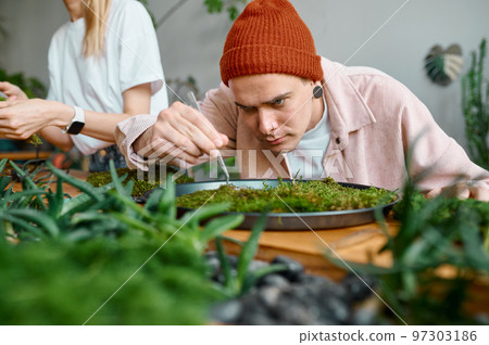 Experienced male florist working on circle plant panel closeup 97303186
