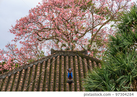 Shisa，放置在沖繩房屋屋頂上的護身符 97304284
