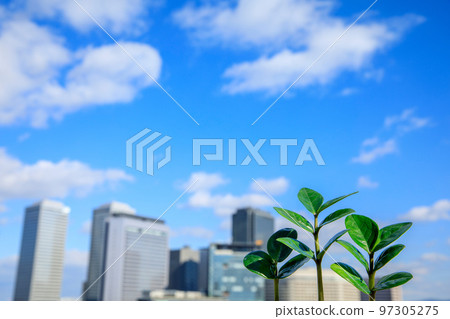 Shoots and skyscrapers 97305275