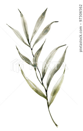 Green leaf of palm tree tropical plant, watercolor illustration. Green leaf of palm tree tropical plant, watercolor illustration. 97306562