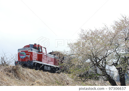 Aterazawa Line 100th anniversary issue and cherry blossoms departing from Aterazawa Station Aterazawa Line 100th anniversary issue and cherry blossoms departing from Aterazawa Station 97306637
