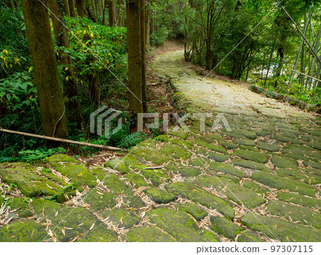 Stone pavement and moss of Ryumonjizaka 97307115