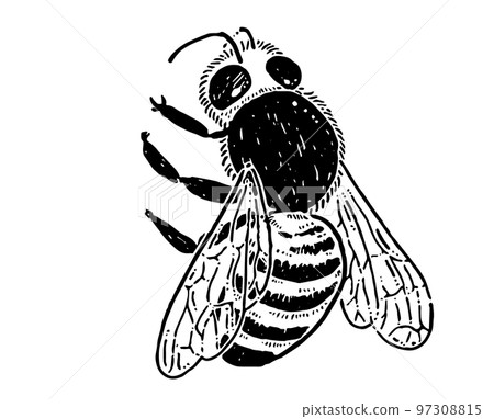 Bee line drawing illustration material 97308815