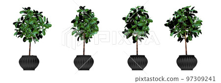 Realistic house plats set in pots on white background isolated 97309241