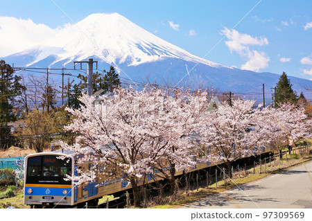 山梨縣春天櫻花樹、富士急行和富士山 山梨縣春天櫻花樹、富士急行和富士山 97309569