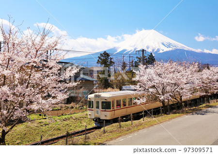 山梨縣春天櫻花樹、富士急行和富士山 97309571