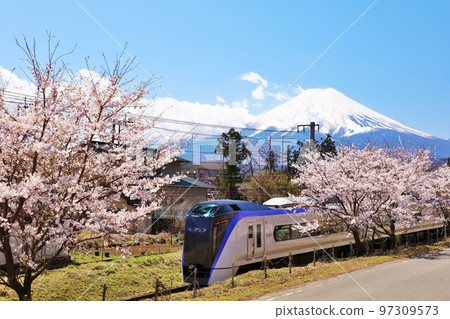 Yamanashi Prefecture Spring cherry blossom trees, Fuji Kyuko and Mt. Fuji 97309573