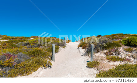 Pathway to the beach at Inneston, Yorke Peninsula Pathway to the beach at Inneston, Yorke Peninsula 97311480